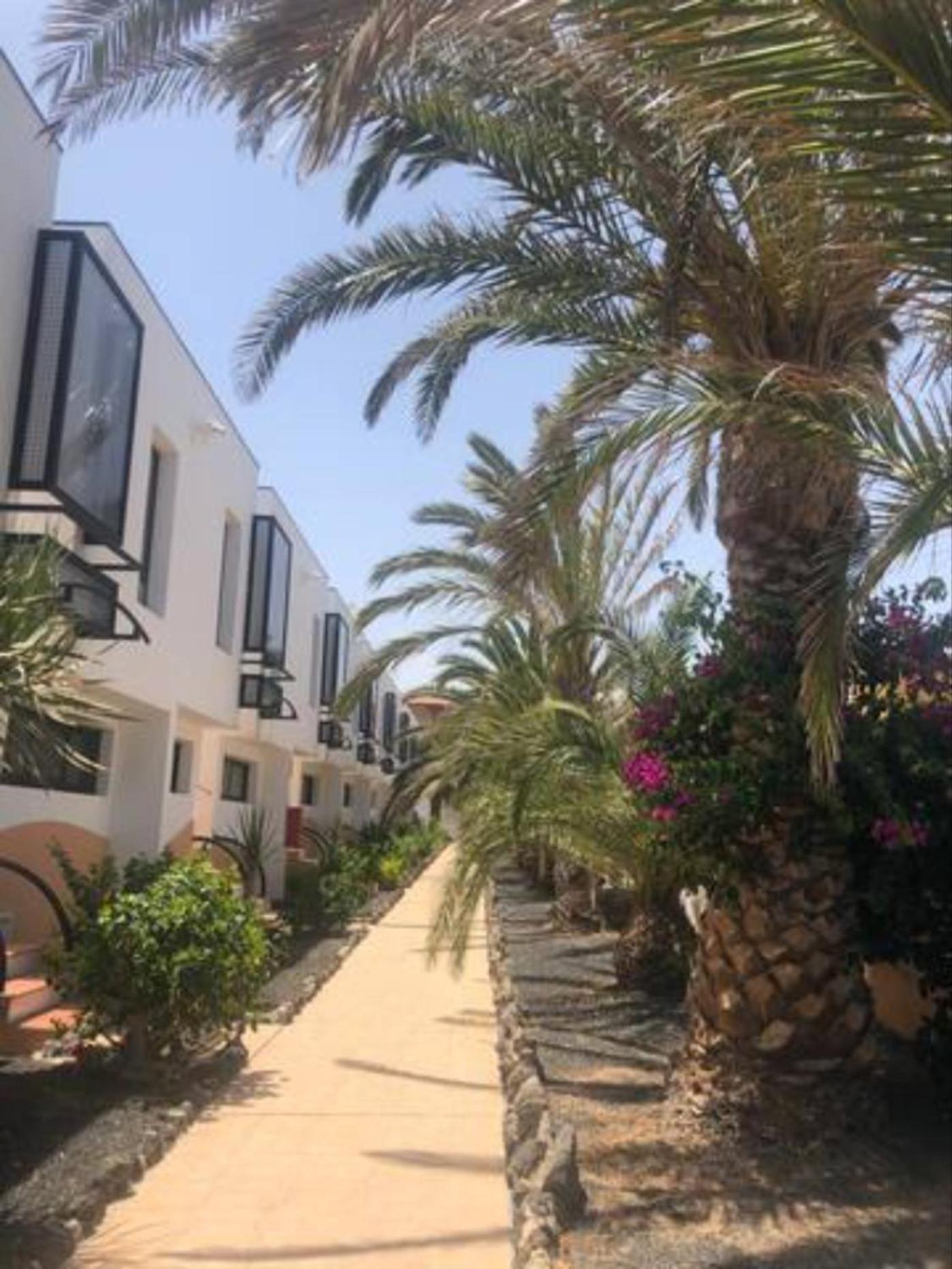 Apartamento Happyness Complex Amaya Fuerteventura Costa De Antigua Buitenkant foto